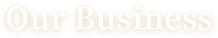 OUR BUSINESS